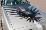 Pontiac Firebird Trans Am 6.6 L80 10th Anniversary Edition 1979 года